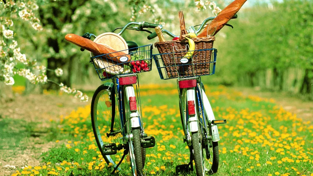 Fährräder mit Picknick