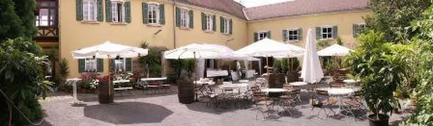 Der Innenhof des Weingutes Winkels-Herding ist mit Holz-Metall Klappstühlen und Tischen sowie weißen Sonnenschirmen dekoriert. Große Kübelpflanzen ergänzen die Gartenbepflanzung. 
Die Gebäude des Weingutes sind l-förmig im Hintergrund zu sehen. Der Verputz ist gelb gestrichen, die Klappläden sind grün.
