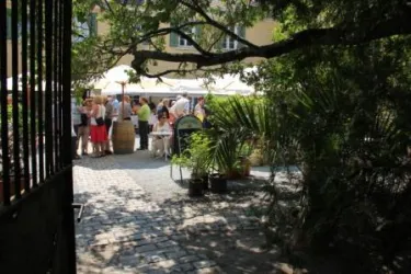 Serenade im Park 2 (© Weingut Winkels-Herding)