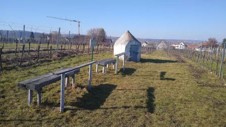 Blick vom Schlossgarten Herxheim in die Rheinebene (© J. Dörr, Archiv Urlaubsregion Freinsheim)