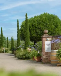 <p>Der Eingang zum Weingut ist mit einer Sandsteinmauer begrenzt. Ein Weinfass und zahlreiche Kübelpflanzen säumen den Weg. Zypressen und große Nadelbäume runden den mediterranen Stil ab.</p>