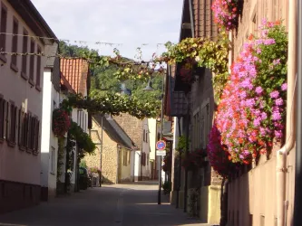 Bobenheim am Berg - Dorfstraße (© Bobenheim am Berg)