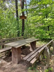 Rastplatz am Häuschen 1 (© Urlaubsregion Freinsheim)