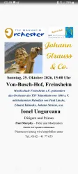 <p>Plakat zum Konzert des TSV Mannheim Orchester und der Musikschule Freinsheim e.V. mit einer goldenen Statue von Johann Strauss, der eine Geige spielt.</p>