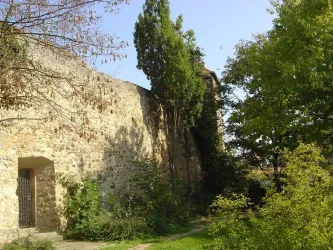 Freinsheim - Stadtmauer mit Begrünung (© Urlaubsregion Freinsheim)