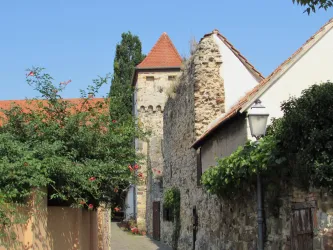 Hahnenturm mit Stadtmauer (© Urlaubsregion Freinsheim)
