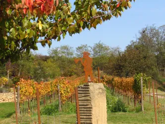 Freinsheim - Weinbergsgarten 3 (© EM Urlaubsregion Freinsheim)