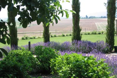 Villa Vigna - Blick in den Garten (© Familie Hohl)