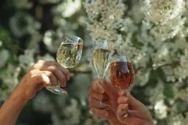 Gläser mit Baumblüte (© Verkehrsverein Freinsheim)