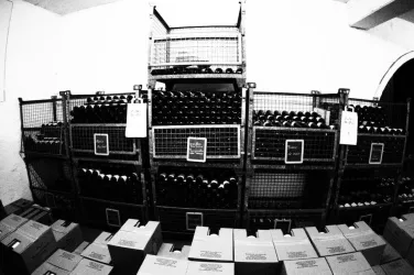 Flaschenlager (© Weingut Langenwalter-Gauglitz)