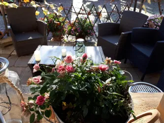 Frühling! (© B. Reibold-Niederauer)