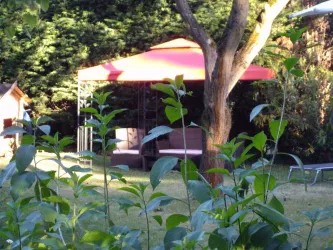 Gartenlounge (© B. Reibold-Niederauer)