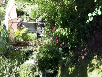 Garten4