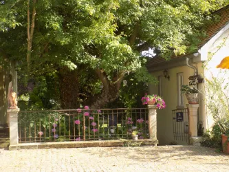 Blick in den wildromantischen Landhausgarten (© B. Reibold-Niederauer)