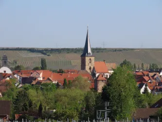 Aussicht vom Friedhof auf Freinsheim (© Urlaubsregion Freinsheim)