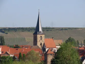 Aussicht vom Friedhof auf Kirchturm u. Wingerte (© Urlaubsregion Freinsheim)