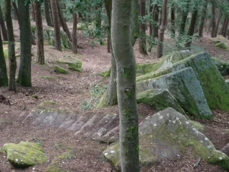 Heidefels V (© Jörg Dörr)
