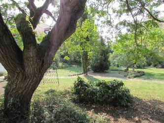Dr.-Kausch-Garten Rasen mit Büschen und Bäumen (© Urlaubsregion Freinsheim)