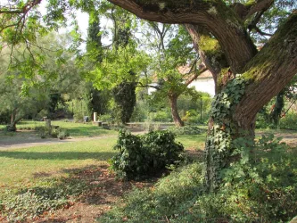 Dr.-Kausch-Garten, großer Baum und zypressen (© Urlaubsregion Freinsheim)