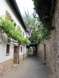 Stadtmauer (© Urlaubsregion Freinsheim - E. Metzger)
