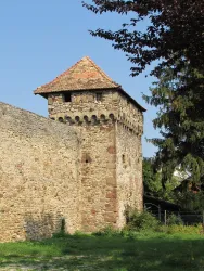 Kanonenturm Bild 2 (© Urlaubsregion Freinsheim)
