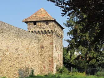 Kanonenturm Bild 1 (© Urlaubsregion Freinsheim)