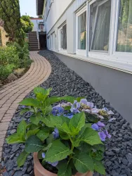 Ein schöner Gehweg führt entlang der Hauswand, umgeben von grauen Steinen und grünen Pflanzen. Im Vordergrund steht ein Topf mit blühenden Hortensien in lila und blau.