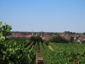 Ortsansicht (© Urlaubsregion Freinsheim, Fr. Metzger)