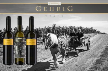 3 Üblichen 2, Weingut Gehrig (© Weingut Gehrig)