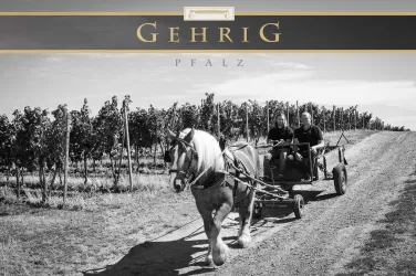 Banderole Weingut Gehrig (© Weingut Gehrig)