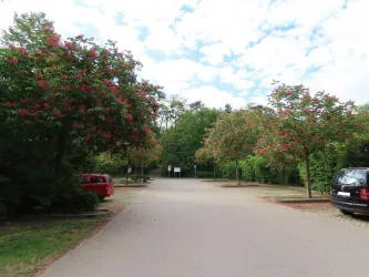 Parkplatz Ludwigshain Bild 1 (© Urlaubsregion Freinsheim)