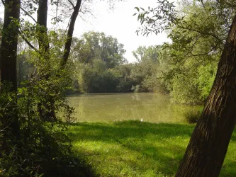 Weisenheim am Sand - Ludwigshain (© Urlaubsregion Freinsheim)
