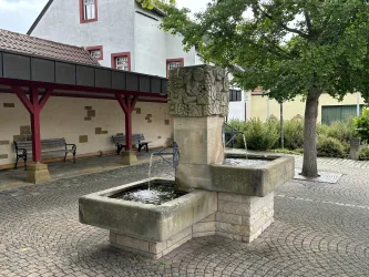 Brunnen auf dem Dorfplatz vor dem ehem. Spritzenhaus in Weisenheim am Berg