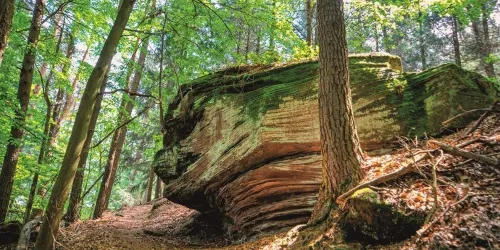 Krumholzerstuhl (© Harald Hartusch)