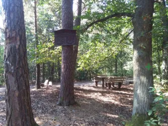 Pfälzerwald - Burgunder Rastplatz 2 (© Lutz Fütterling)