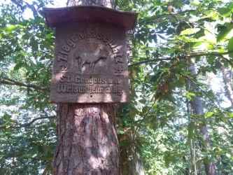 Pfälzerwald - Burgunder Rastplatz (© Urlaubsregion Freinsheim)