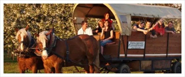 Planwagen mit 2 Pferden und Gästen (© Gumbinger)