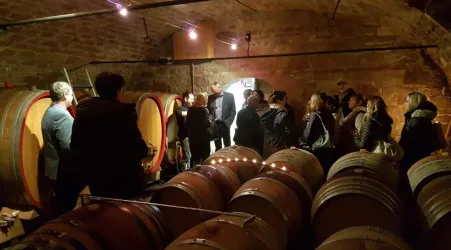 Vino Lumino (© Weingut Kohl)