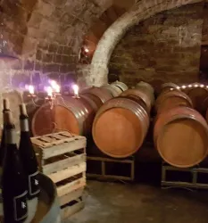 Vino Lumino (© Weingut Kohl) Vino Lumino (© Weingut Kohl)