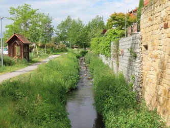 Bachlauf Isenach (© Urlaubsregion Freinsheim, Fr. Metzger)
