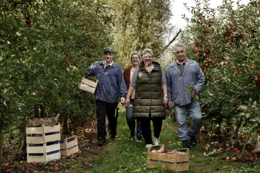 Familie Hilbert bei der Apfelernte Bild 2 (© Melanie Hubach)