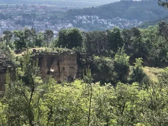 Steinbruch Leistadt 2 (© Urlaubsregion Freinsheim)