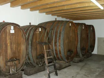 Vier riessige Weinfässer aus Holz neben einanader, in einem Keller.