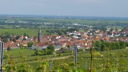 Panoramaansicht Kallstadt