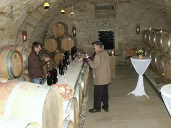 Gewölbekeller mit Gast und Weinfässern