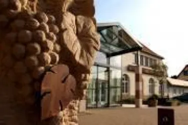 WG Kallstadt (© Winzergenossenschaft) WG Kallstadt (© Winzergenossenschaft)