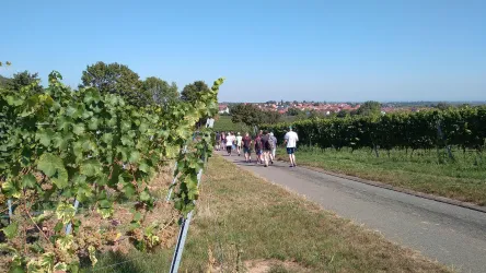 gemeinsam unterwegs