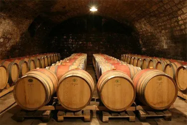 Ein Bild des großen Weinkellers der Winzergenossenschaft in Kallstadt. Der Keller ist mit vielen Holz/Weinfässern belegt.