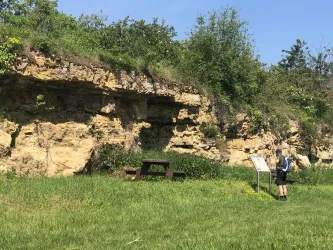 Kalksteinwand bei Kallstadt (© Urlaubsregion Freinsheim)