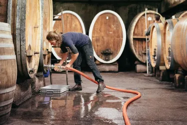 Weingut Köhler-Ruprecht - Holzfasskeller (© Weingut Köhler-Ruprecht)